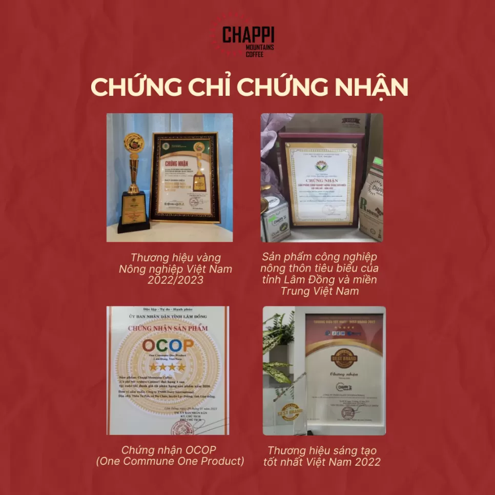 CÀ PHÊ BỘT ROBUSTA ĐẬM VỊ TRUYỀN THỐNG (đậm đà, đắng mạnh, hợp với gu cà phê người Việt)